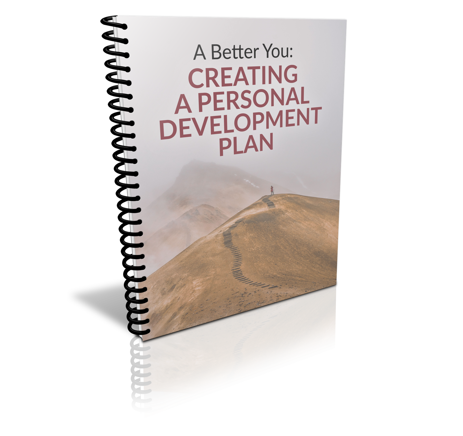 The Purpose of a Personal Development Plan - Must Have Solutions